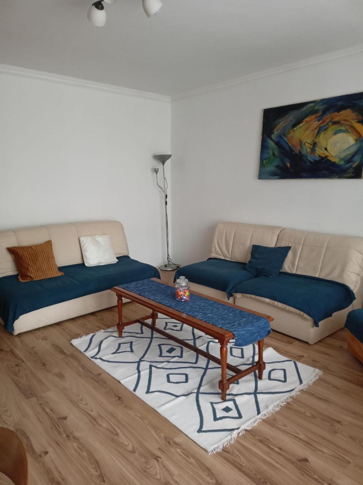 Apartmani Dora Leskovac レスコヴァツ エクステリア 写真